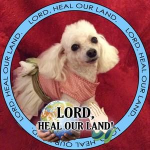 Meet your Posher, Eva